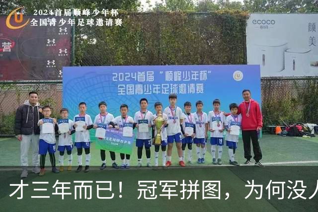 才三年而已！冠军拼图，为何没人要了？